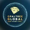 OpalTree Global (OPC) Pvt. Ltd. logo - Similar company to Swfs Financial Group