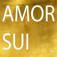 AMOR SUI logo - Similar company to Amorsui