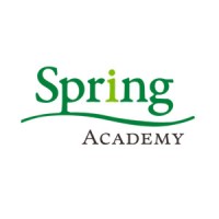 Spring Academy logo - Similar company to Java - Spring Boot Academy