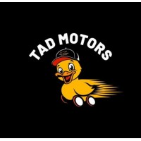 Tad Motors logo - Similar company to Anziboo