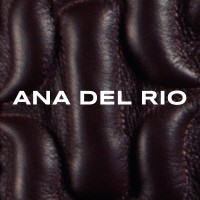 ANA DEL RIO logo - Similar company to Pitch And Chips