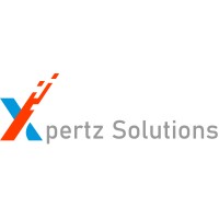 Xpertz Solutions logo - Similar company to N'Art Solutions