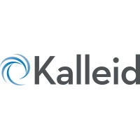 Kalleid logo - Similar company to Workflow Informatics Corp.