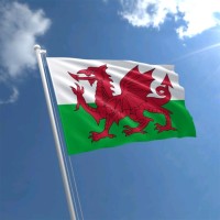 Enslaved by Cardiff Authorities - Rights Now logo - Similar company to Mindset Maintenance Cic