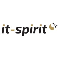 it-spirit logo - Similar company to Civilia