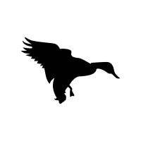 Black Mallard Partners logo - Similar company to Muddy Group