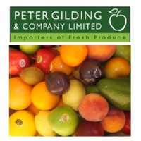 Peter Gilding & Co. Ltd logo - Similar company to Rapid Group