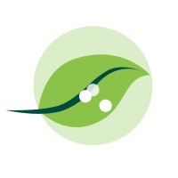 Northrule logo - Similar company to Cogence