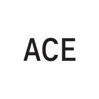Adelaide Contemporary Experimental logo - Similar company to Feltspace