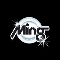 Ming Shine Co. logo - Similar company to Smartprogram Inc.