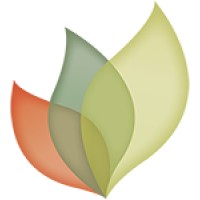 Senses Web Solutions