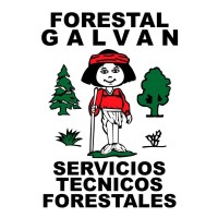 Forestal Galvan logo - Similar company to Innofor - Ingeniería E Innovación Forestal