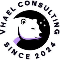 Vhael Consulting logo - Similar company to Any It Support
