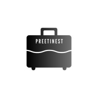 Preetinest Travels logo - Similar company to Echo Ai