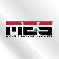 MES SAYAH EST. logo - Similar company to Silver Logistics Lb