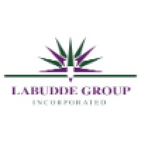 Labudde Group Incorporated