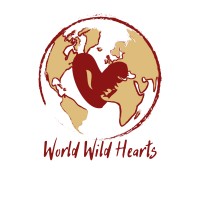 World Wild Hearts logo - Similar company to Recubela Bv