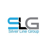 Silver Line Group logo - Similar company to Dom Tech