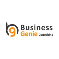 Business Genie Consulting logo - Similar company to Rush Line Logistics