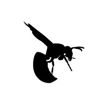 NoShitSecurity logo - Similar company to Authbase