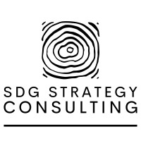 SDG Strategy Consulting Ltd. logo - Similar company to 4Castplus