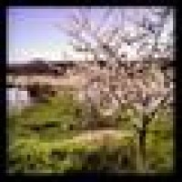 Trillium Hill Farm Inc