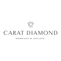 Carat Diamond Exchange Sàrl logo - Similar company to Damak Diamond