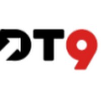 DT9 Group logo - Similar company to Netwin