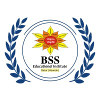 BSS Educational Institute logo - Similar company to Roadsprep