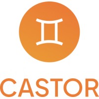 Castor development outsourcing logo - Similar company to Logisense Ltd