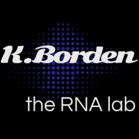 Kathy Borden Laboratory