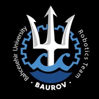 BAUROV Team logo - Similar company to Application Shops