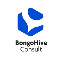 BongoHive Consult logo - Similar company to Bongohive Technology And Innovation Hub