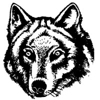Wolfe Civil Pty Ltd