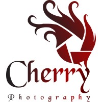 Cherry Studios & Ads logo - Similar company to Gs Technology