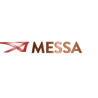 Messa Consulting logo - Similar company to Mindwire