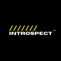 INTROSPECT logo - Similar company to Stone Heart Clothing