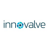 Innovalve Bio Medical Ltd. logo - Similar company to Vdyne