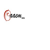CAAEM SRLS logo - Similar company to Zedaplus Architetti