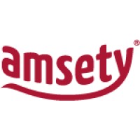 Amsety logo - Similar company to Eches Private Limited (Eches Consultancy)