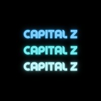 Capital Z logo - Similar company to Paul Rameau