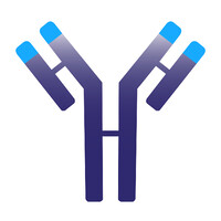 Immunovant logo - Similar company to Hanall Biopharma