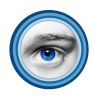 Shades of Insight logo - Similar company to Fast Remote Services