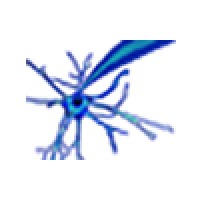 DSInteg logo - Similar company to Nucycles