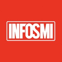 INFOSMI logo - Similar company to Likearth Studio