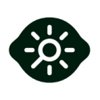 Limelight Intelligence logo - Similar company to All Things Blockchain Network | Atbn