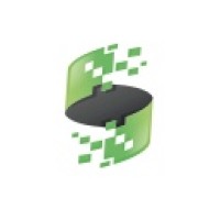 Digital Agency S logo - Similar company to The Digital Professionals