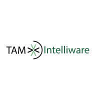 TAM Intelliware logo - Similar company to Intelliware Snc