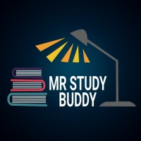 MrStudyBuddy logo - Similar company to Bulkseosite