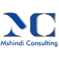 Mshindi Consulting logo - Similar company to Siseko Financial Solutions